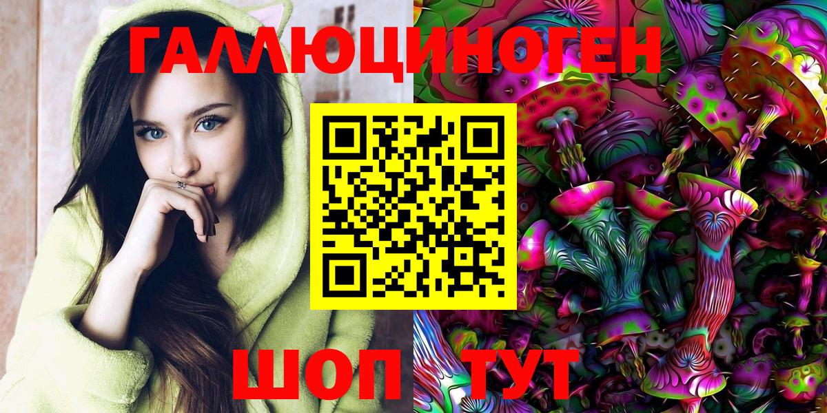 Королёв  Псилоцибиновые грибы Psilocybe  Вход с VPN 