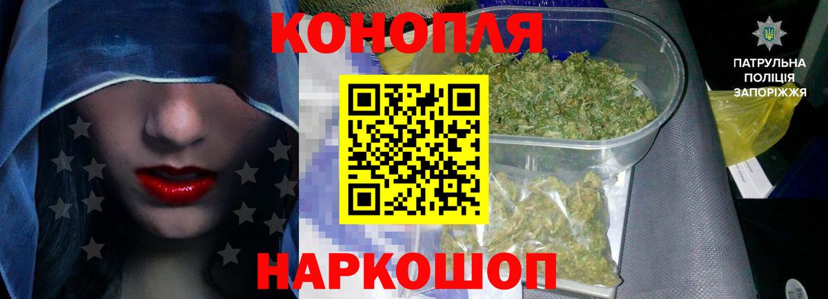 Каннабис индика Королёв